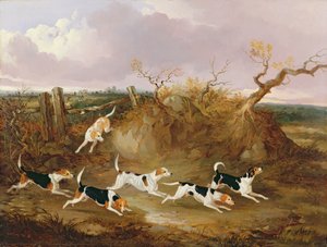 Beagles in voller Jagd, 1845